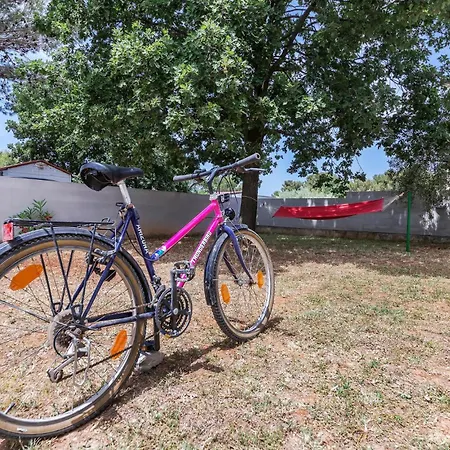 Gorgeous In With Wifi 펜션 *